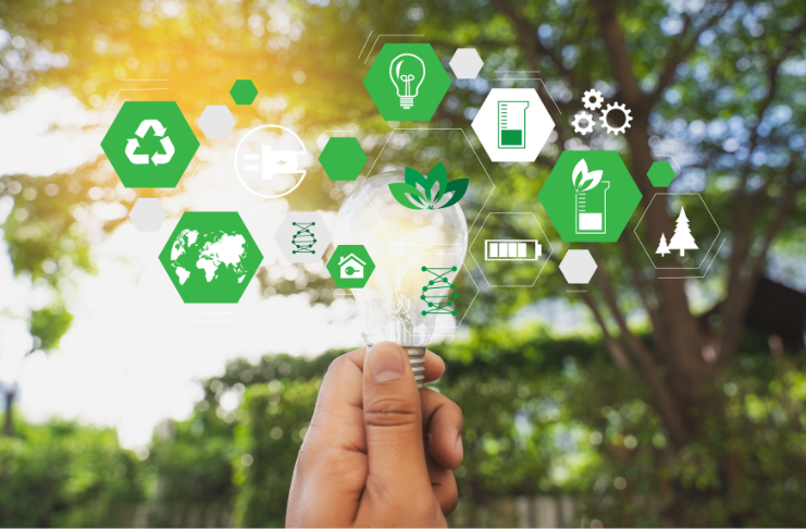 Areas of Improvement for Environmental Sustainability 