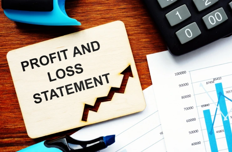Profit and loss statement image