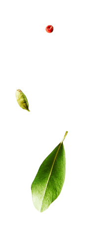Apple Leaves